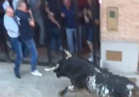 Bous Al Carrer Toros En Valencia Un Hombre Muere Corneado En Los