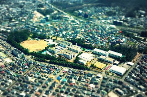 東北生活文化大学短期大学部 本学の特色｜大学ポートレート