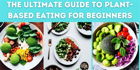 The Ultimate Guide To Plant Based Eating For Beginners Alter Mindset