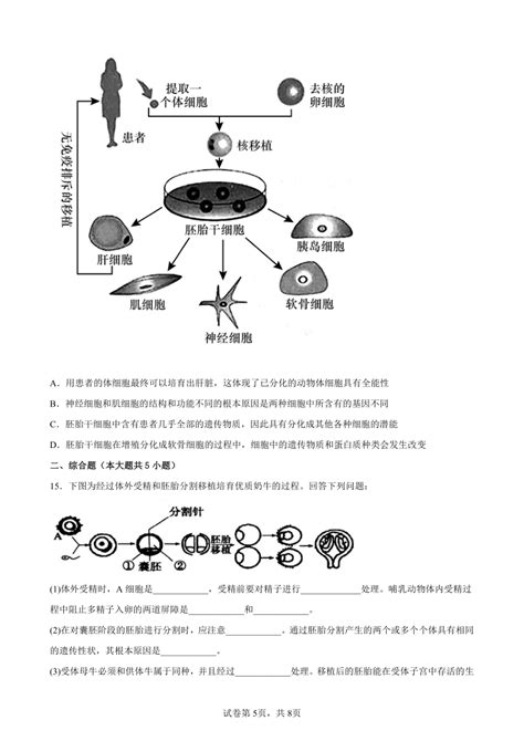 2023届高考生物一轮专题复习：胚胎工程word版含答案）21世纪教育网 二一教育