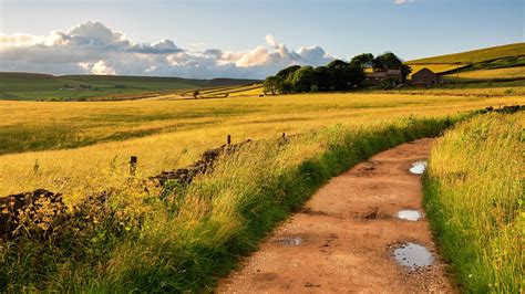 壁紙 田舎、イングランド、イギリス、フィールド、道路、草、風 1920x1200 HD 無料のデスクトップの背景, 画像