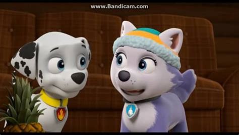 Marshall X Skye Paw Patrol Relation Ship Wiki Fandom Powered By Wikia