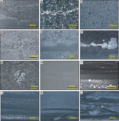 Microscopic Features Of The Gulcheru Shale Samples Used For Geochemical