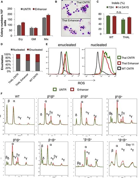 Disruption Of The BCL11A Erythroid Enhancer Reactivates Fetal