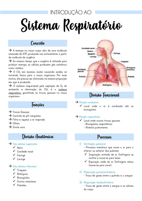 Doen As Do Sistema Respiratorio Causas Sintomas E Tratamento Roaredu