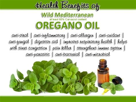 Oil Of Oregano Botanicals One