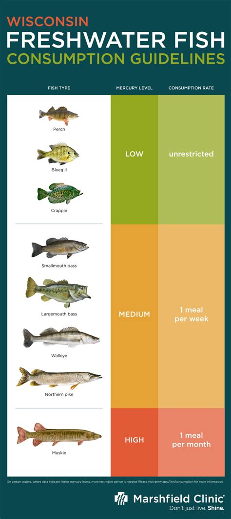 fish mercury levels list