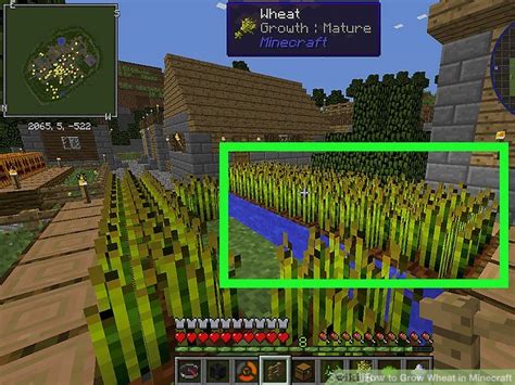 How To Grow Wheat In Minecraft 9 Steps With Pictures Wikihow