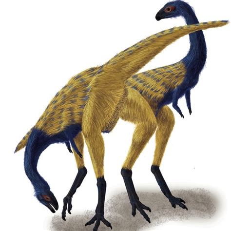 Did Parrots Evolve From Dinosaurs? Unveiling The Fascinating Connection!