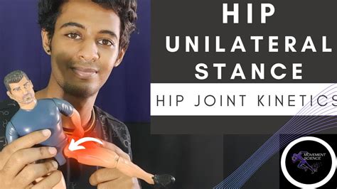 HIP JOINT UNILATERAL STANCE HIP COMPLEX BIOMECHANICS Physiotherapy