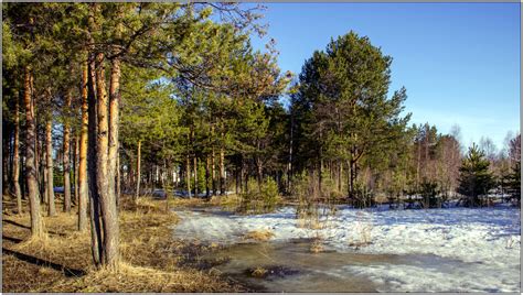 1 :: Иван Клещин – Социальная сеть ФотоКто