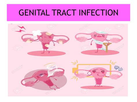 Solution Genital Tract Inf Copy Studypool