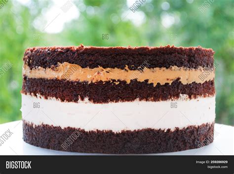 Naked Layer Cake Image Photo Free Trial Bigstock