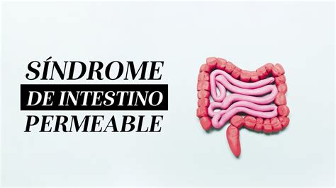 Sindrome Intestino Permeable