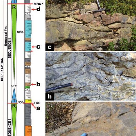 Schematic Log Of The Upper Aptian Carbonate Sedimentary Succession