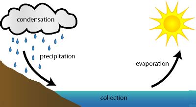 All Water Cycle Stages