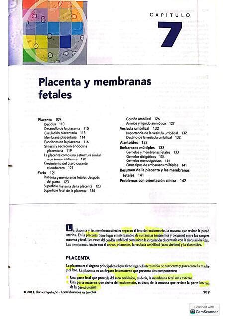 Membranas Fetales Y Placenta Luciana Udocz