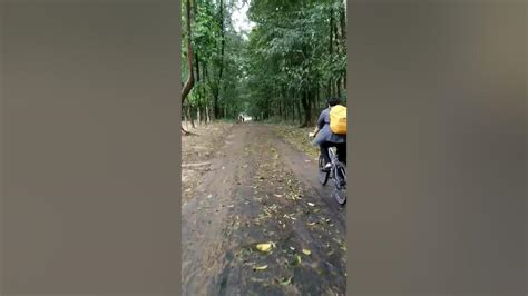 Chittagong University Forestry Cycling On Spring Youtube