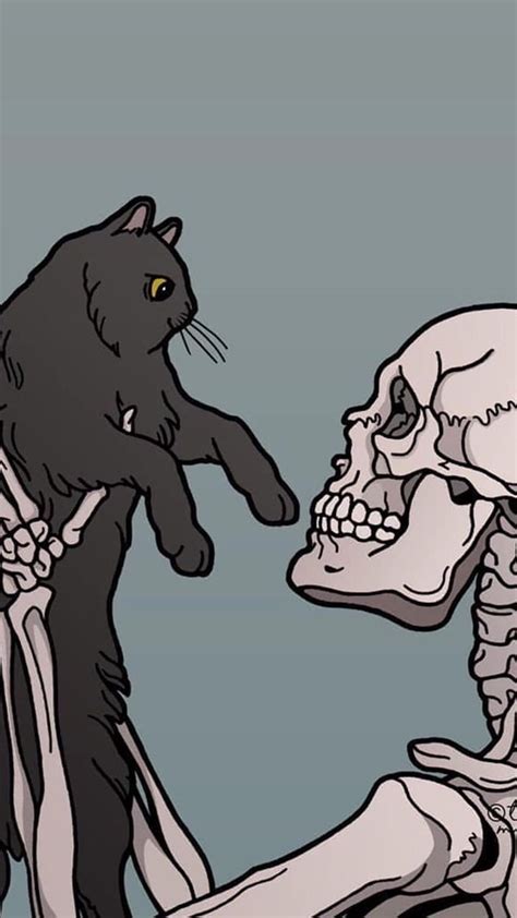 Cat Skull And Skeleton Goth Aesthetic Drawings HD Phone