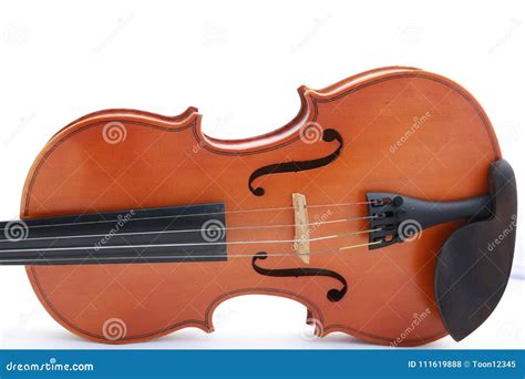 Violino A Curva Isolada No Fundo Branco Foto De Stock Imagem De