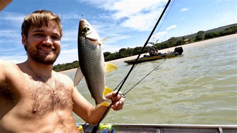 Muito Peixe Na Pescaria No Rio S O Francisco Em Tr S Marias Pescaria