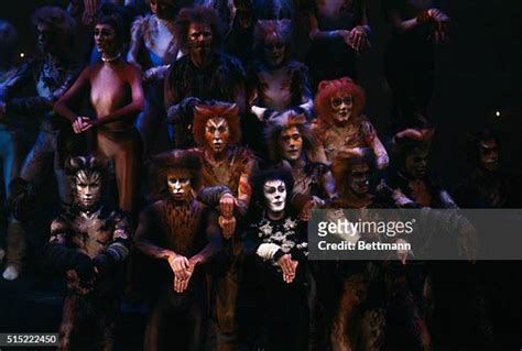 Andrew Lloyd Webber Cats Photos and Premium High Res Pictures - Getty ...