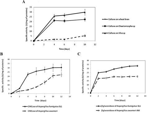 A Time Course Profile Of Endoglucanase Cmcase Produced By A