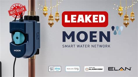 Moen Flo Smart Water Monitor And Automatic Shutoff Sensor Buy This