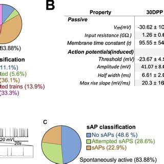 Pharmacological Profiling Of The Network Activity Of Hipsc Derived