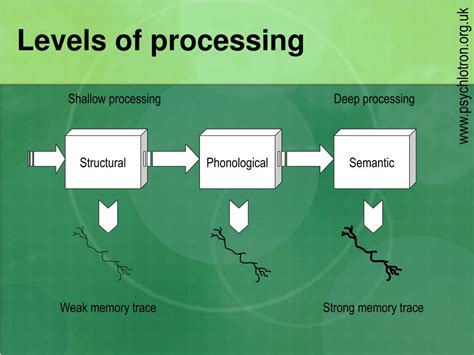 Levels Of Processing Effect Diagram Levels Of Processing Mod