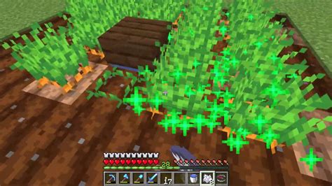 How To Start A Carrot Farm With Only One Carrot Minecraft Youtube