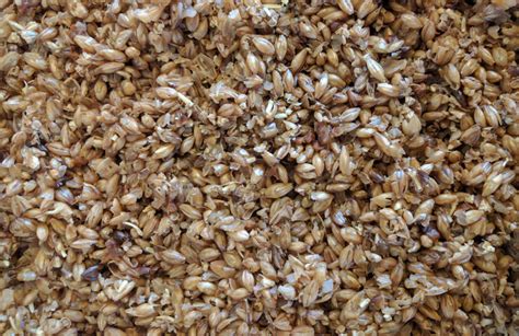 What Happens To Spent Brewing Grains • Vegan Beer And Food Pairing • The