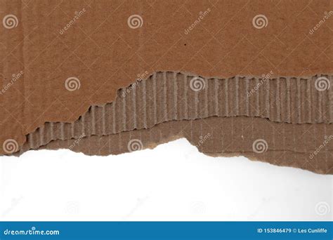 Corrugated Cardboard Torn Edge Stock Image Image Of Blank Board