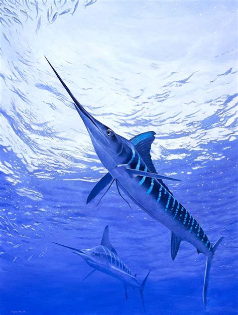 Striped Marlin Marine Fish Sea Fish Beautiful Sea Creatures