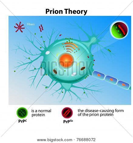 Prion Theory Vector & Photo (Free Trial) | Bigstock