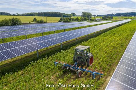 Neue Norm Soll Agri PV Voranbringen Solarserver