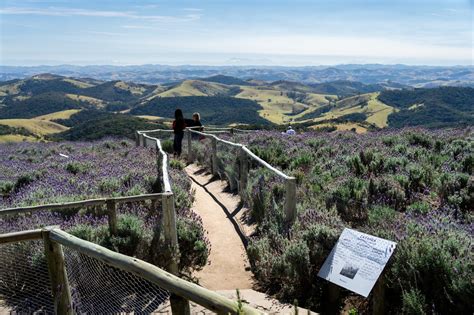 Lugares Para Passear No Interior De S O Paulo Segue Viagem