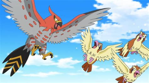 Talonflame And Pidgey Blank Template Imgflip