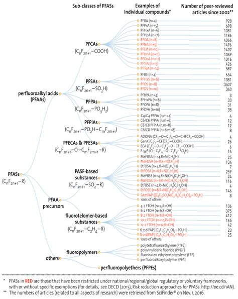 Examples Of Pfas