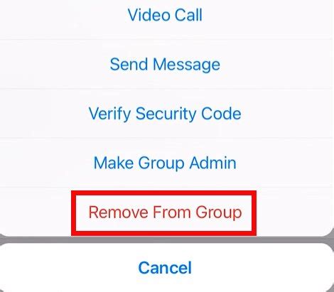 C Mo Eliminar A Alguien Del Grupo De Texto En Iphone