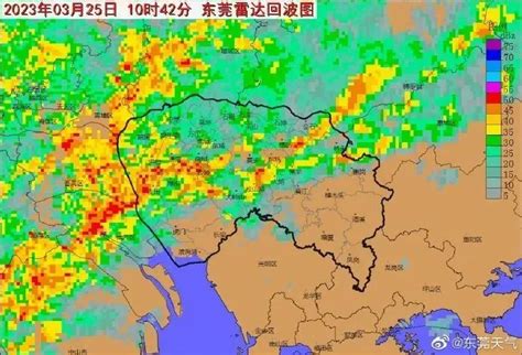 强雷雨！东莞多个预警信号正在生效！ 澎湃号·政务 澎湃新闻 The Paper