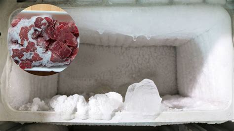 Escarcha o hielo en tu refrigerador es tóxico qué significa y cómo