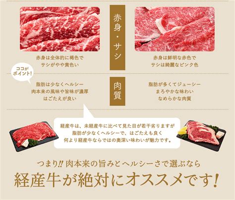 【楽天市場】【ふるさと納税】但馬牛 すき焼き用 肩・モモセット 合計約500g 2~3人前 すき焼き 黒毛和牛 赤身肉 いちかわ精肉店