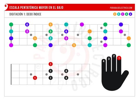 Pentat Nica Mayor En El Bajo C Mo Se Toca Pdf