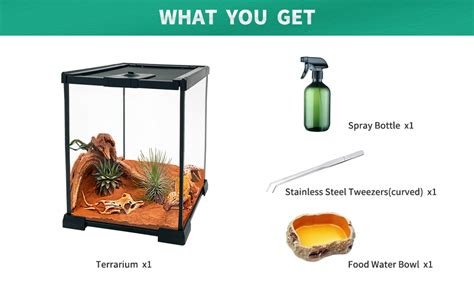 Amazon UpgradeReptile Glass Terrarium Kit8 X8 X12 Terrarium