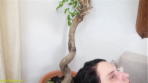 Busty Hairy Milf Videos XVIDEOS