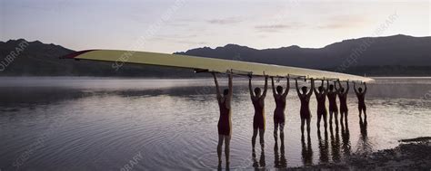 Rowing crew holding scull - Stock Image - F013/9873 - Science Photo Library