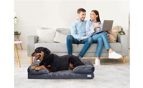 Amazon.com : Orthopedic Sofa Dog Bed - Ultra Comfortable Dog Beds for ...