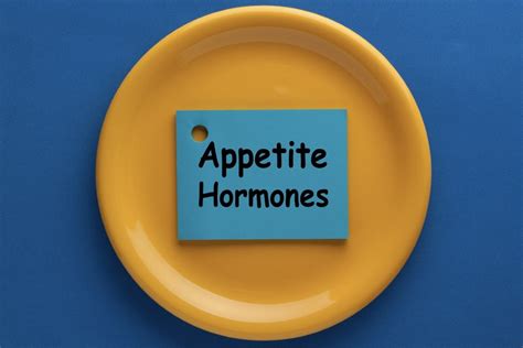 Hormones And Weight Loss Understanding The Connection Best