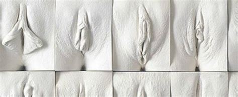 Ogni Vagina Diversa Dall Altra E Per Questo Unica Cos Lo Scultore